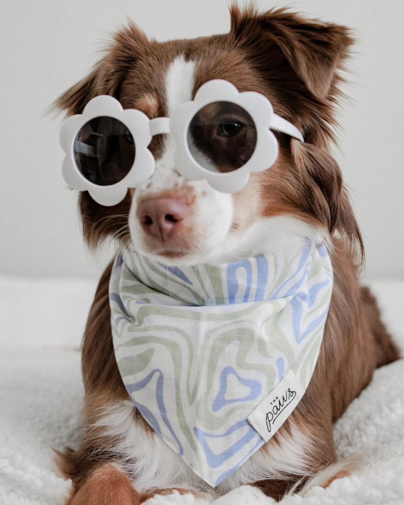 Yeah Baby Dog Bandana (CLEARANCE), image size:800x1000