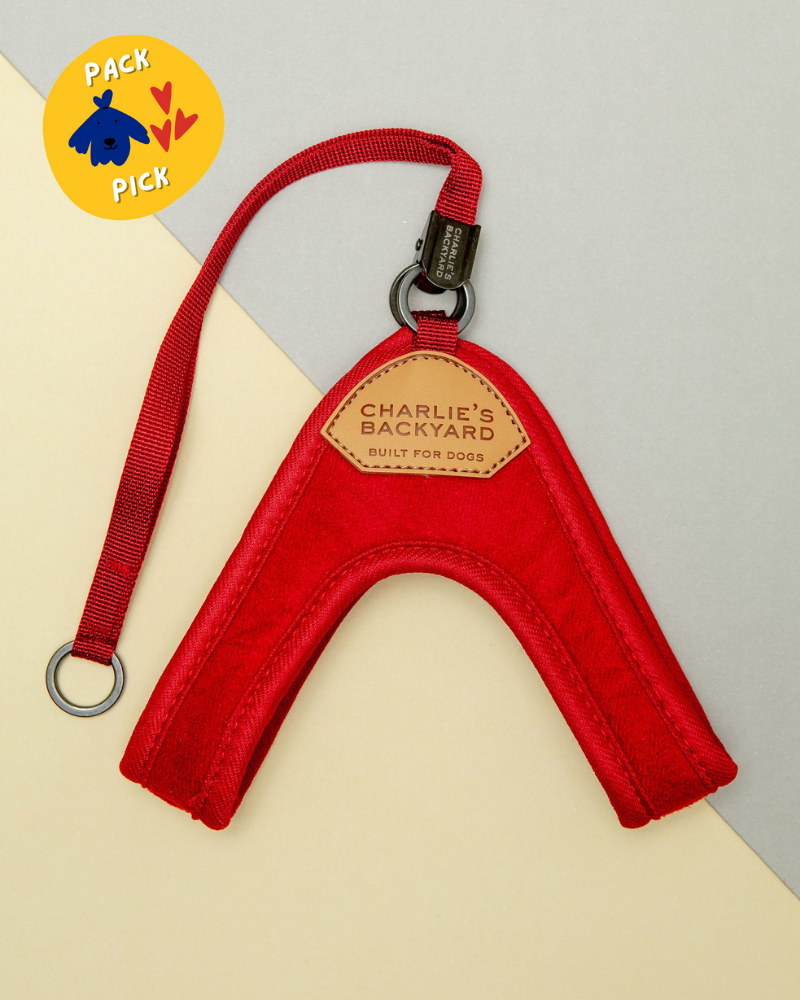 Adjustable Easy Dog Harness in Red WALK CHARLIE'S BACKYARD   