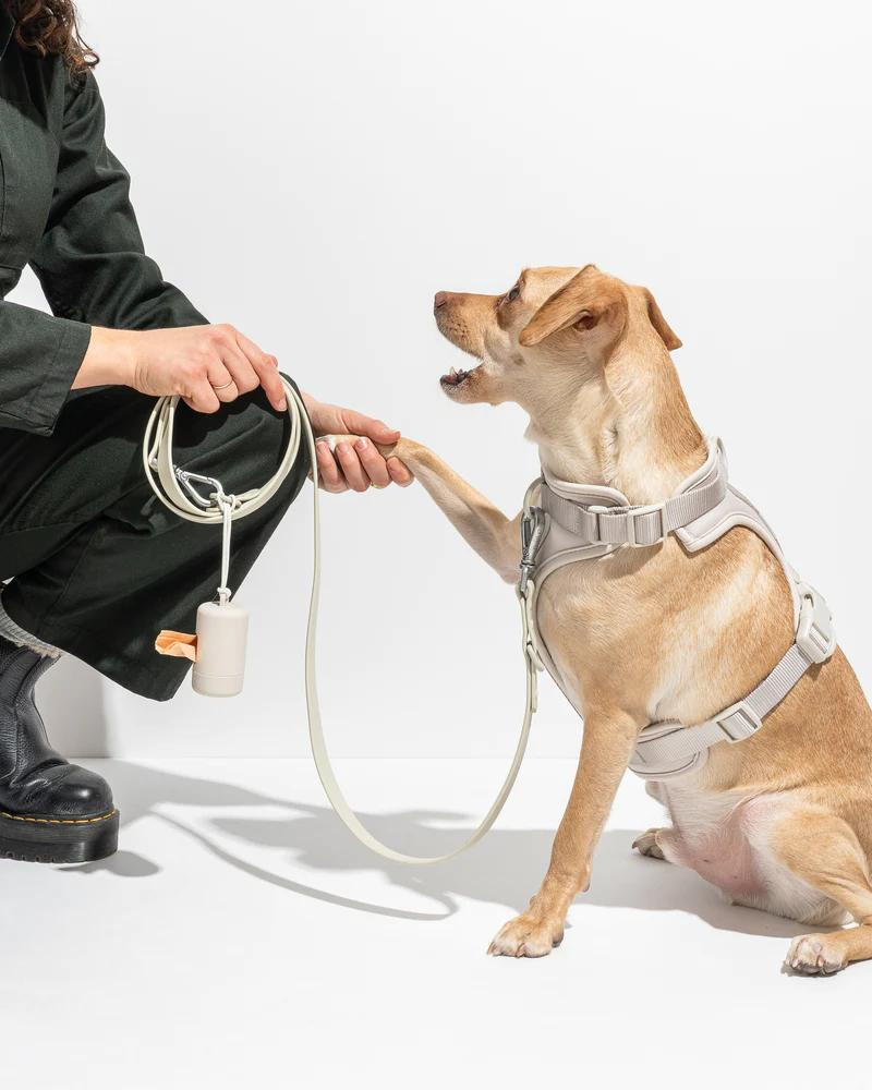 WILD ONE Cushioned Dog Harness in Grey DOG - Main Image