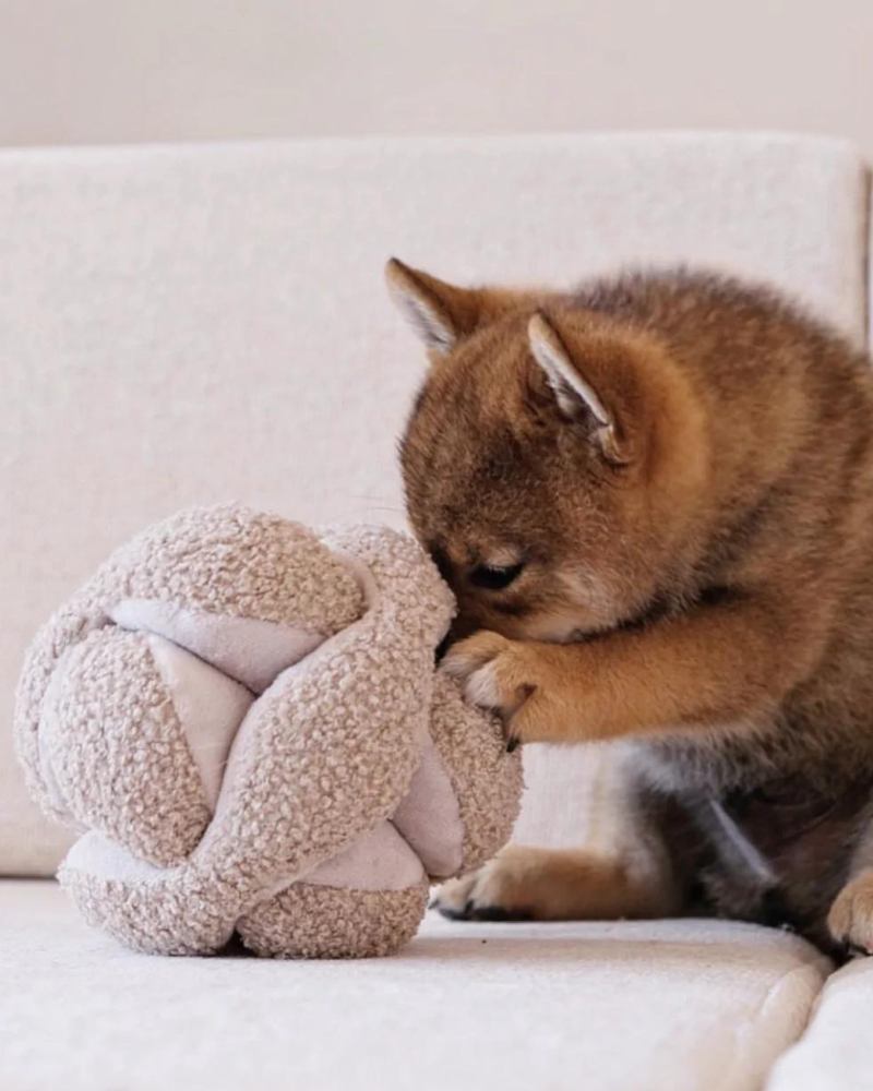 LAMBWOLF COLLECTIVE | Monti Snuffle Ball Dog Toy | DOG & CO.