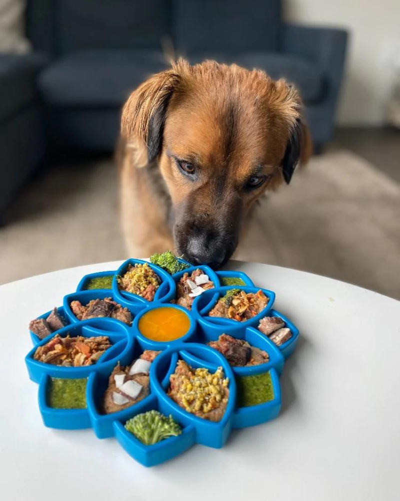 SODA PUP Mandala Flower Slow Feeder Bowl for Dogs Cats DOG