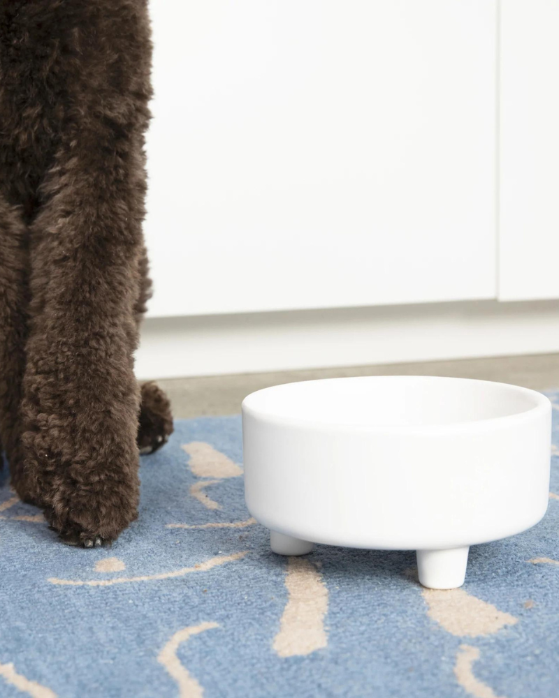 Uplift Ceramic Dog Bowl in White (FINAL SALE) Eat WAGGO   