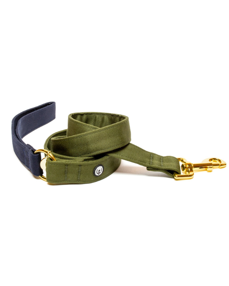 Adjustable No-Pull Dog Harness in Navy & Olive WALK EAT PLAY WAG   