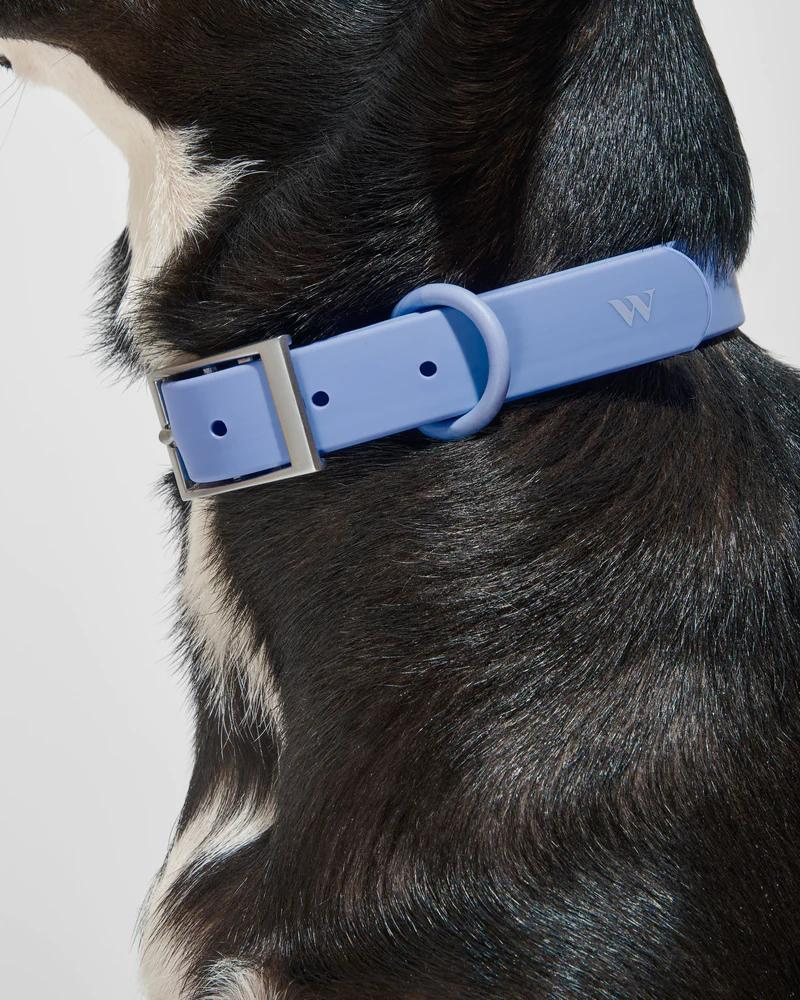 Modern Dog Collar in Moonstone (FINAL SALE) WALK WILD ONE   