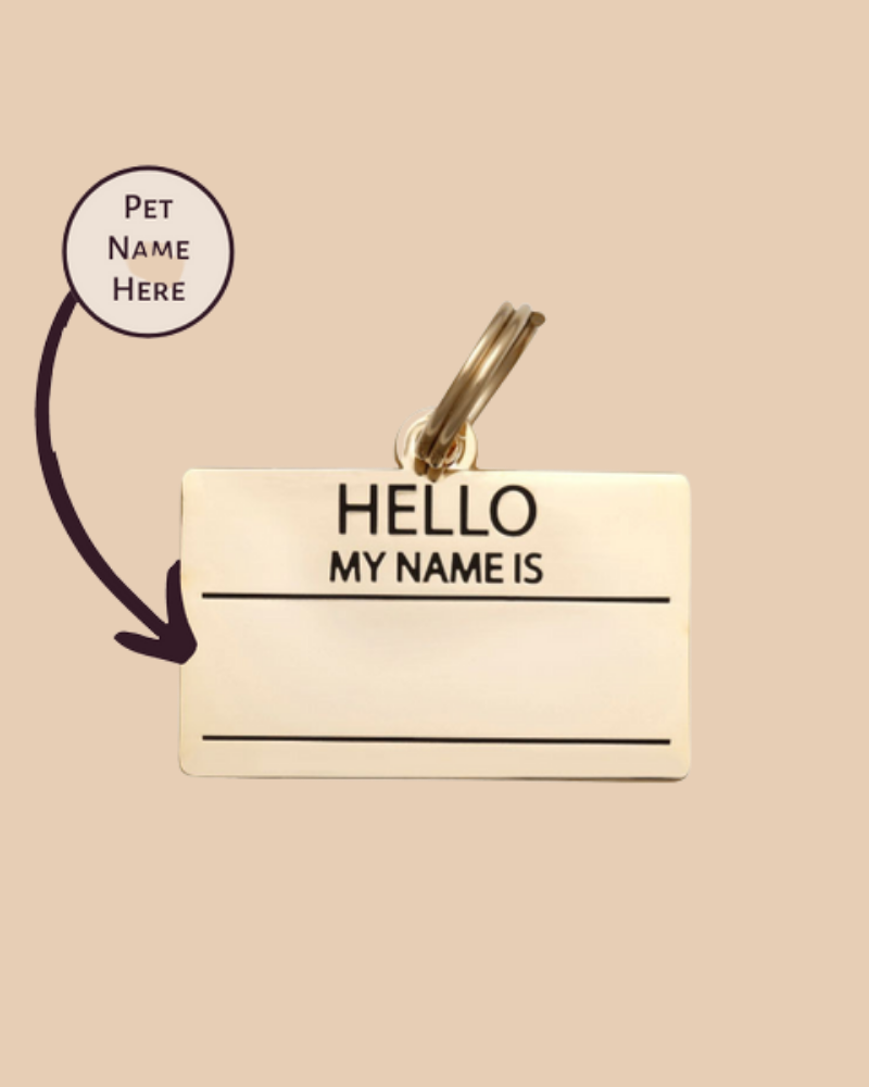 Hello, My Name Is ID Tag (Custom/Drop-Ship) (Made in the USA) Accessories TWO TAILS PET COMPANY Gold  