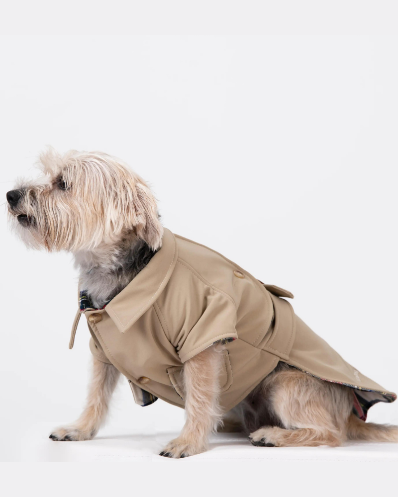 Burberry coat for dogs hot sale