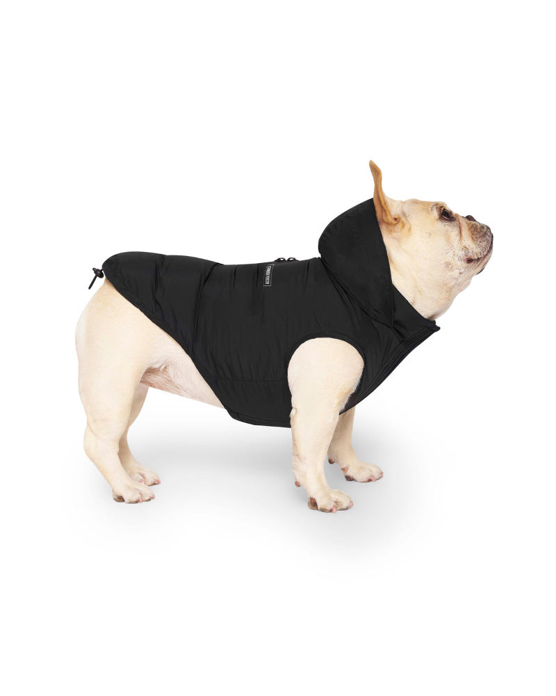 Insulated Waterproof Dog Puffer in Black Wear CANADA POOCH   