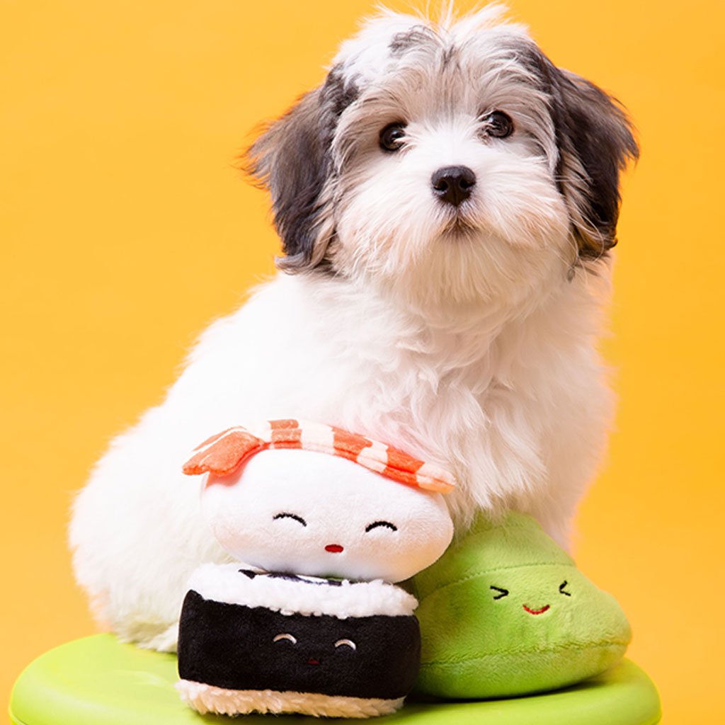 Bento hotsell dog toy
