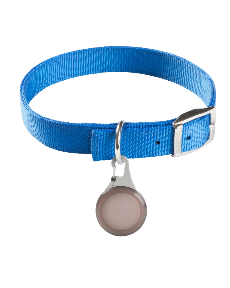 Wearabout™ Clippable Protective AirTag® Holder for Dogs WALK NITE IZE   