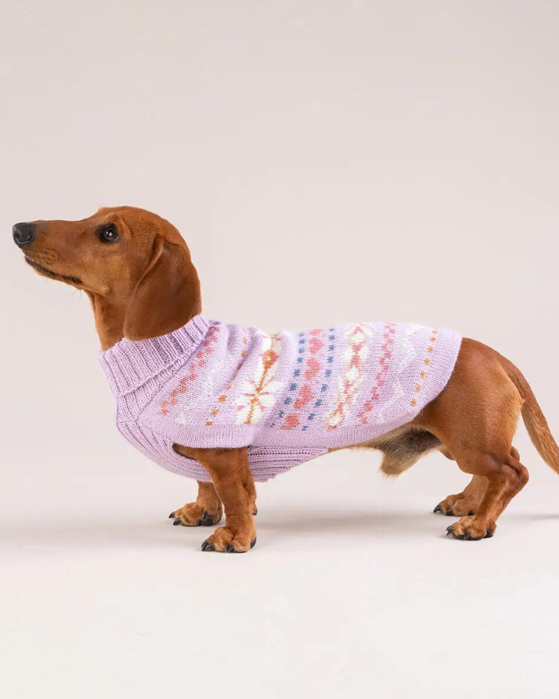 Lavender Sunrise Alpaca Blend Dog Sweater (FINAL SALE) Wear ALQO WASI   
