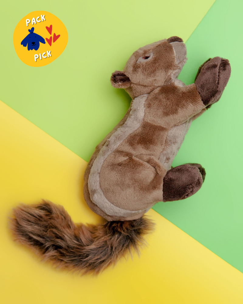 Squeaky squirrel dog toy best sale
