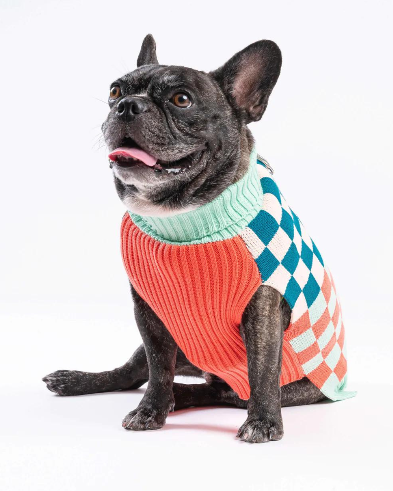 Checkerboard Dog Sweater in Melon & Jade (FINAL SALE) Wear VERLOOP   