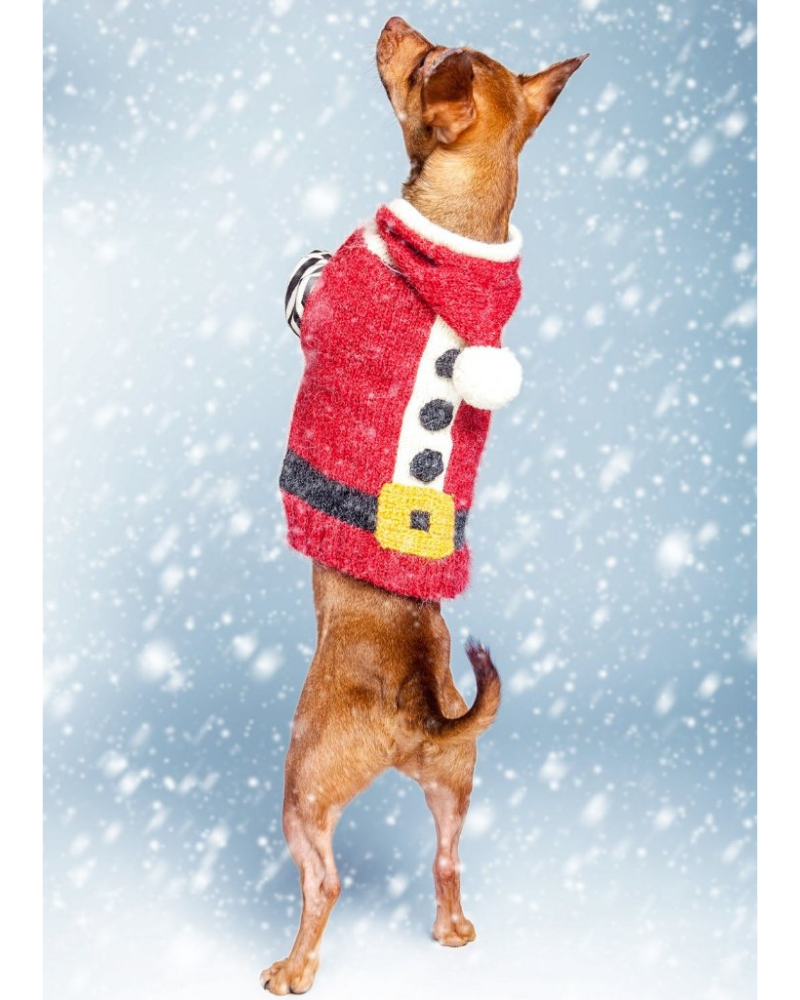 PERUVIAN KNITS | Santa Paws Hand Knit Dog Sweater