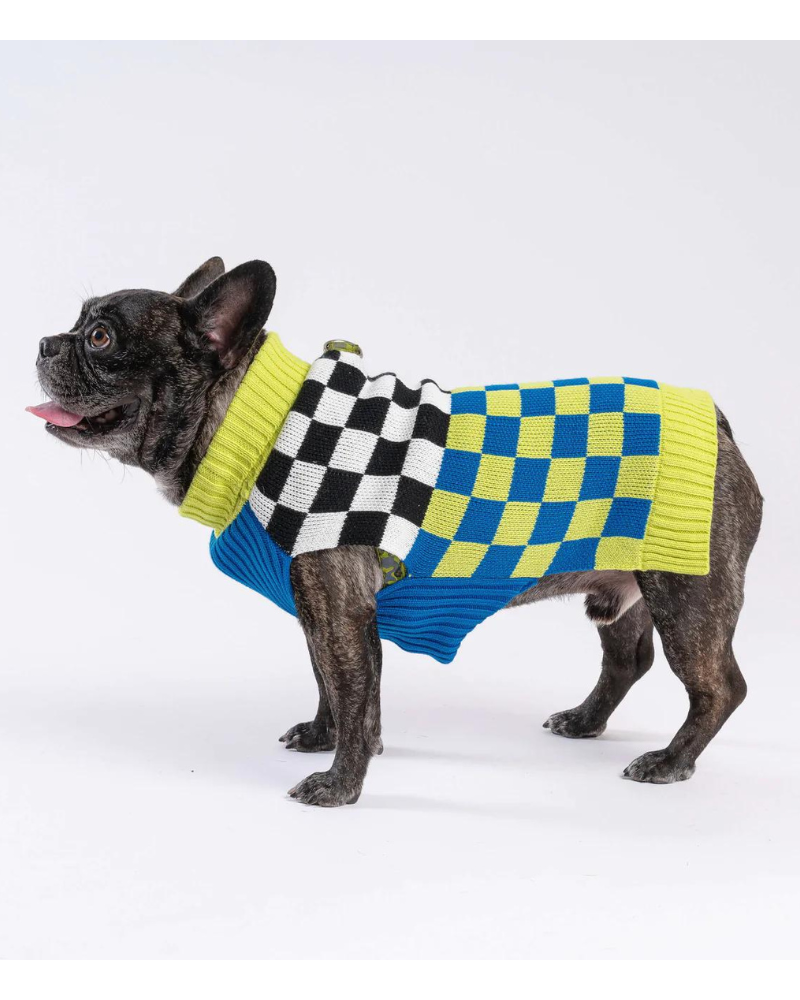 Checkerboard Dog Sweater in Lime & Cobalt (FINAL SALE) Wear VERLOOP   