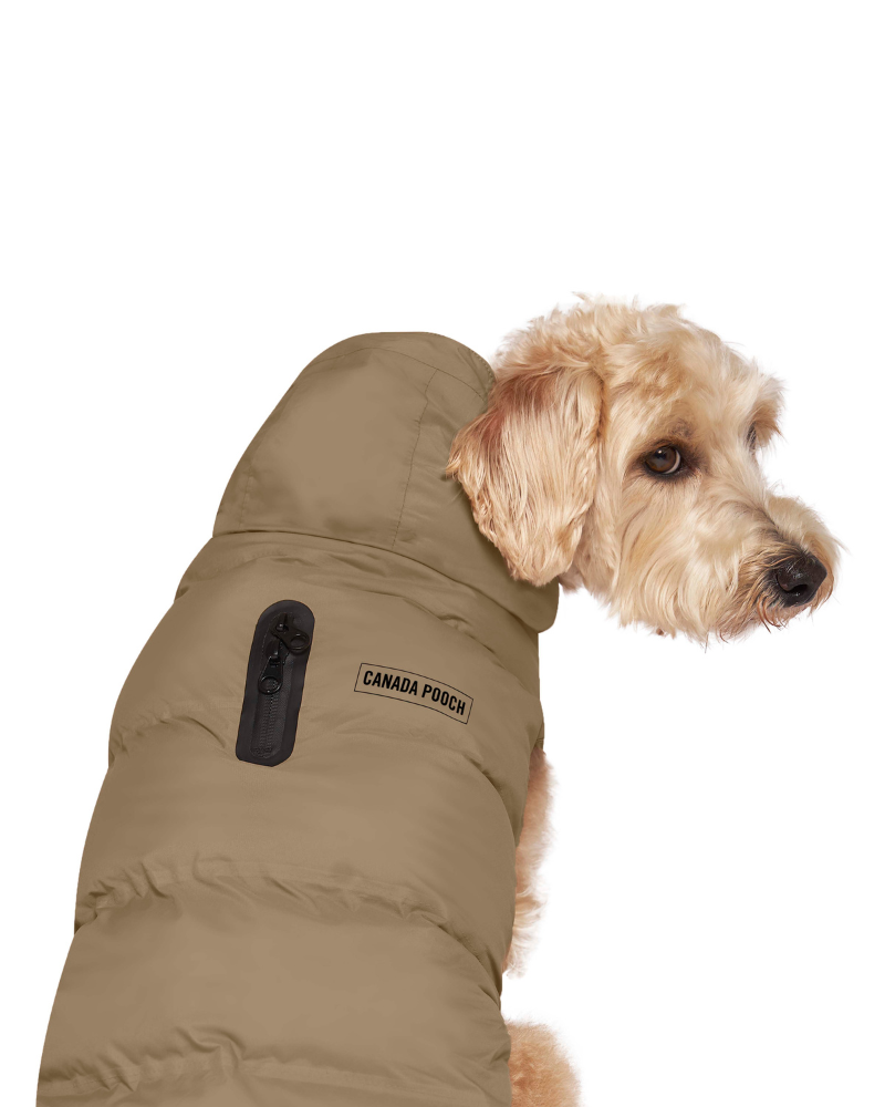 Canada pooch dog jacket outlet