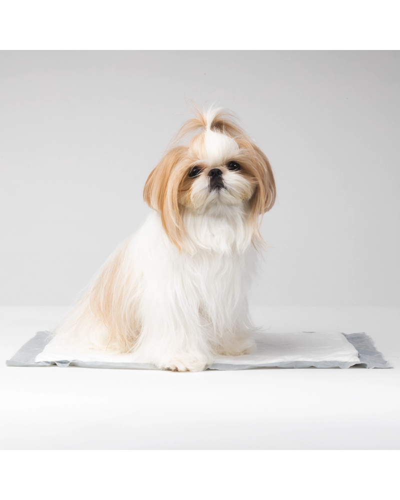 Travel-Sized Pee Pads Dog Supplies DIGGS   