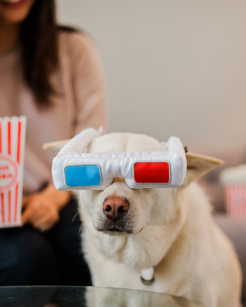 3-D(og) Glasses Hollywoof Collection Dog Toy << FINAL SALE >> Play P.L.A.Y.   