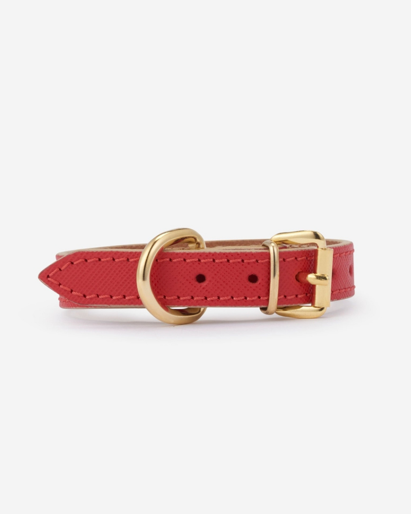 Small Dog Collar in Red Leather (Made in Italy) (FINAL SALE) WALK BRANNI   