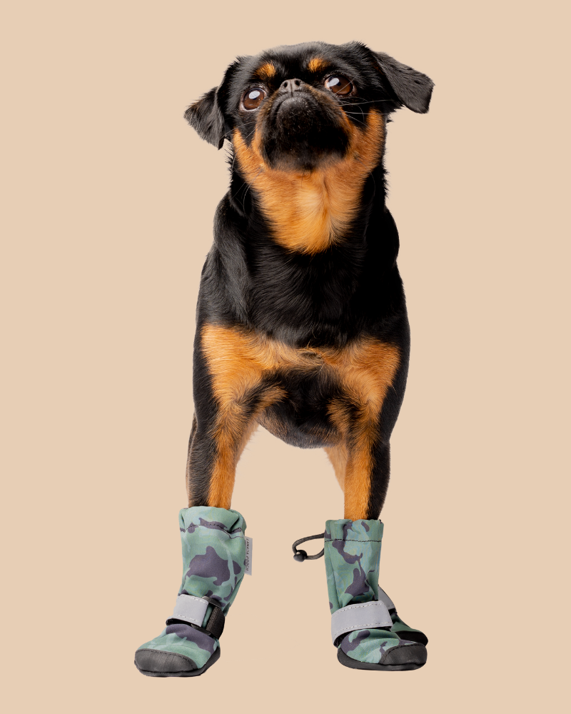 Camo dog hot sale boots