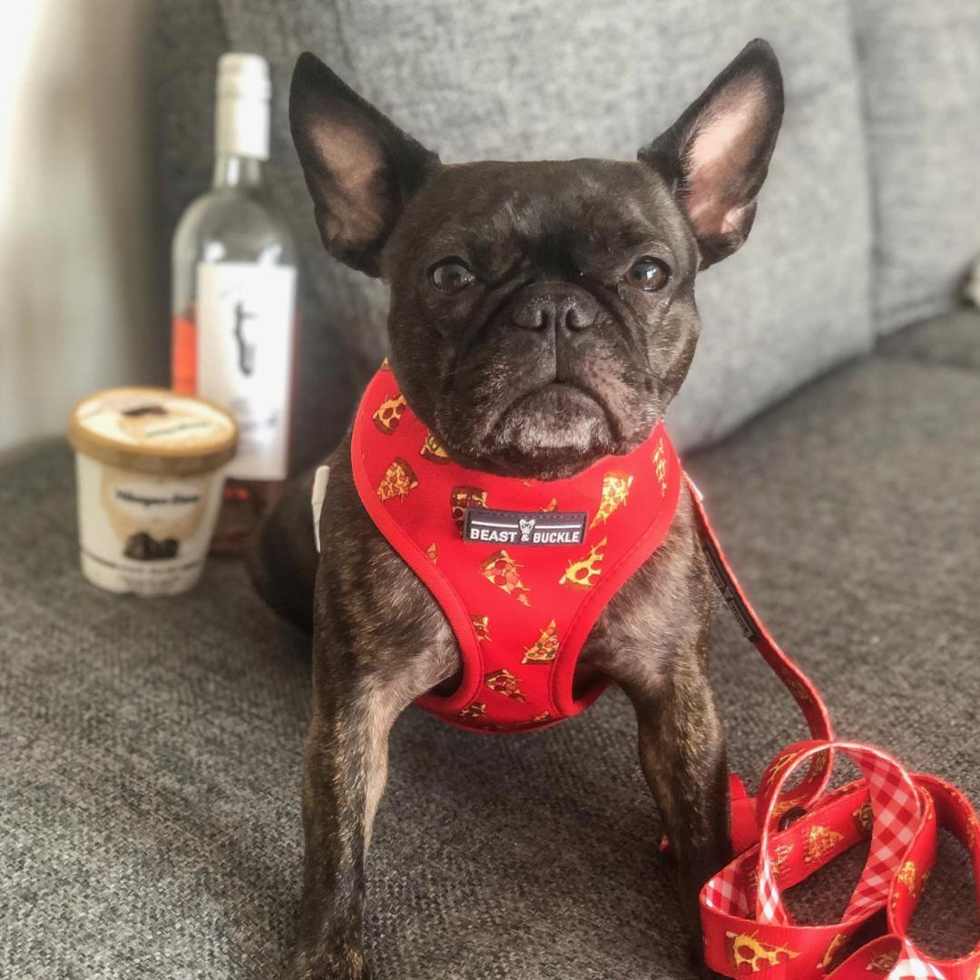 Reversible Pizza Harness