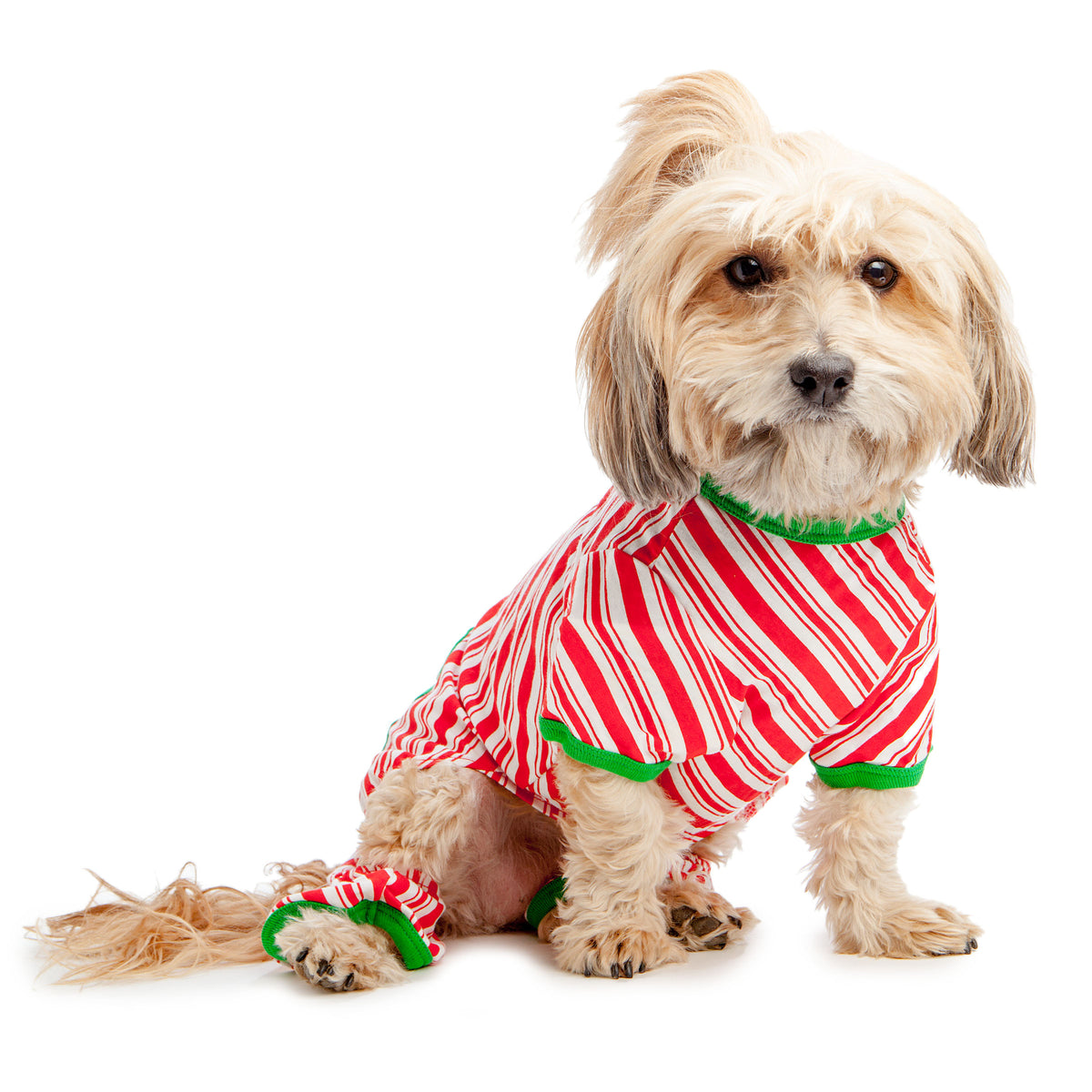 BEST FURRY FRIENDS Red and White Striped Holiday PJs