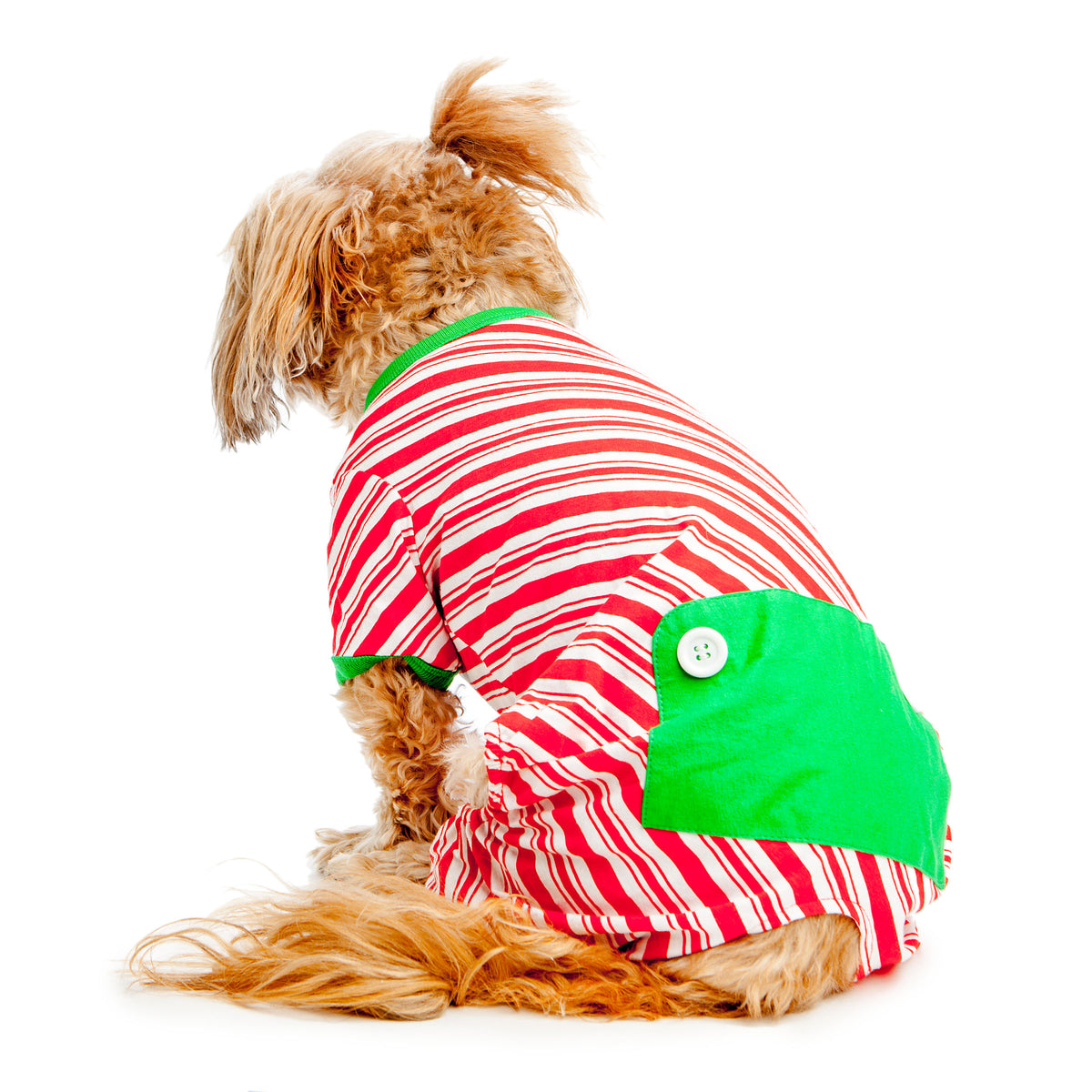 Christmas Pajamas Striped Dog Pajamas BEST FURRY FRIENDS