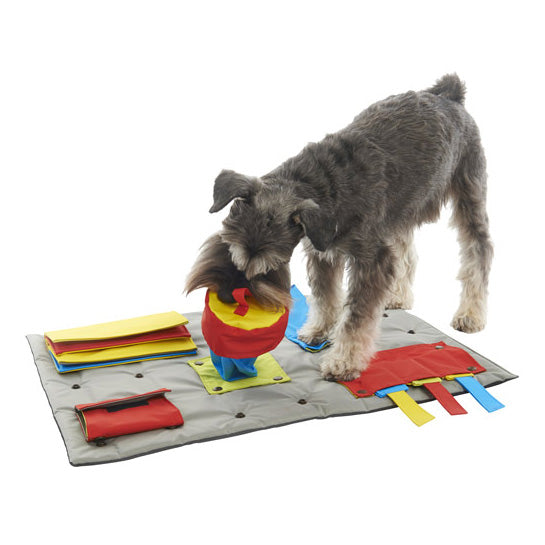 BUSTER | Activity Mat Game BUSTER   
