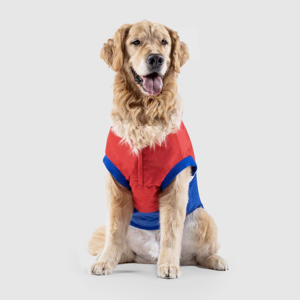 Canada pooch 360 jacket best sale