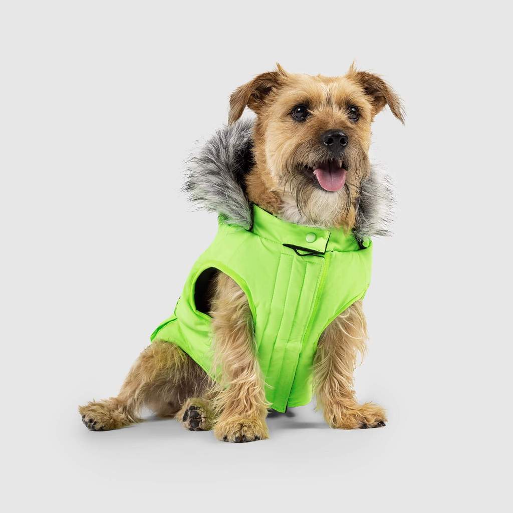 Canada pooch everest explorer sale