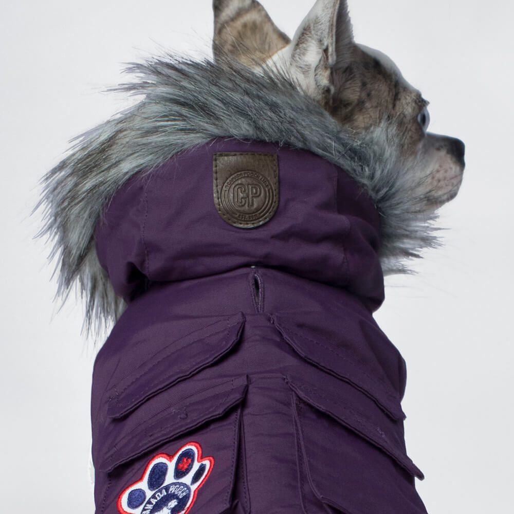 CANADA POOCH Everest Explorer Vest in Plum BIG DOG SALE DOG CO