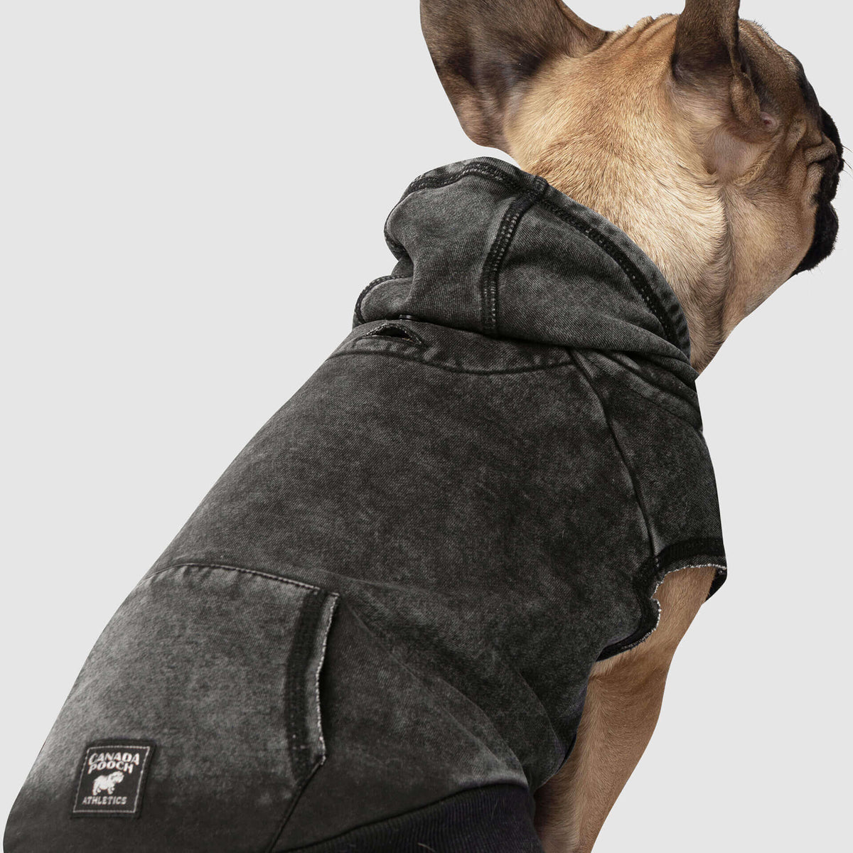 Canada pooch hot sale hoodie