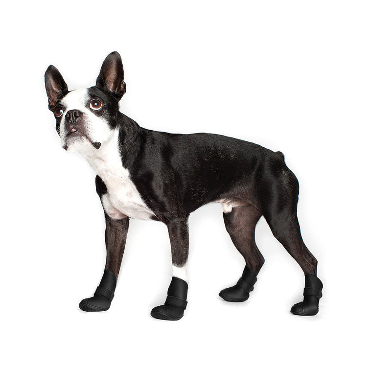 CANADA POOCH | Wellies Boots Boots CANADA POOCH   