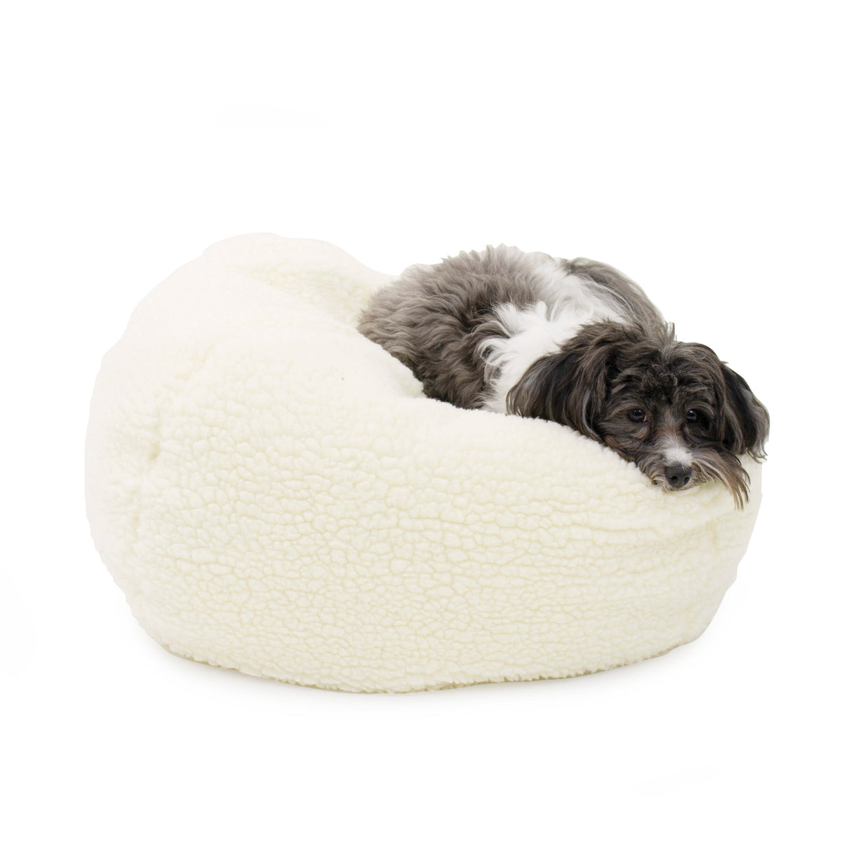 CAROLINA PET COMPANY Cheeky Pouf in Sherpa Custom Drop Ship DOG CO