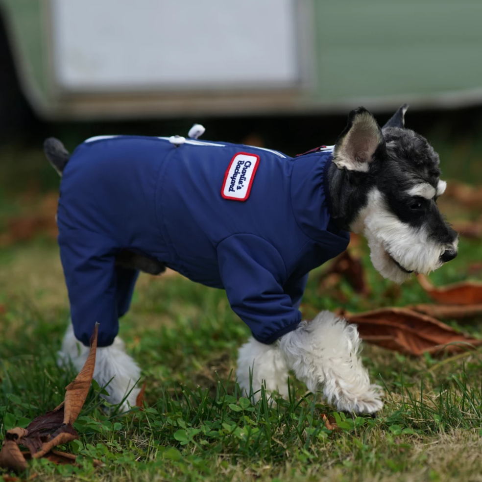 Coveralls for dogs cheap