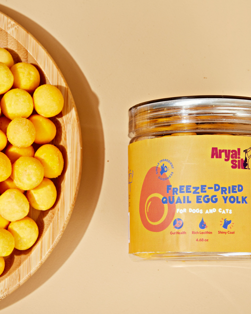 ARYA SIT Freeze Dried Egg Yolk Treat for Dogs Cats DOG CO