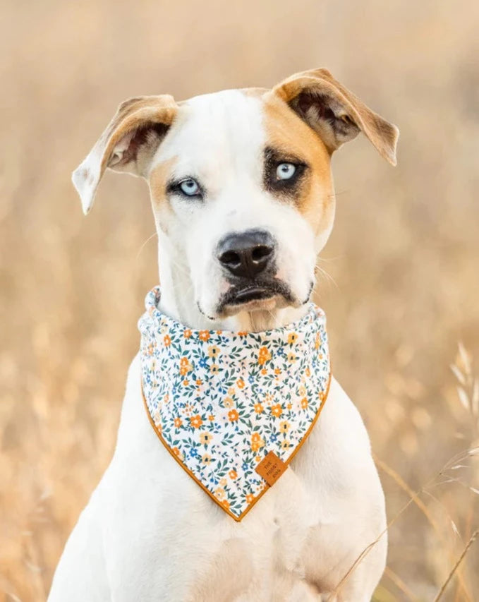 Floral dog bandana outlet