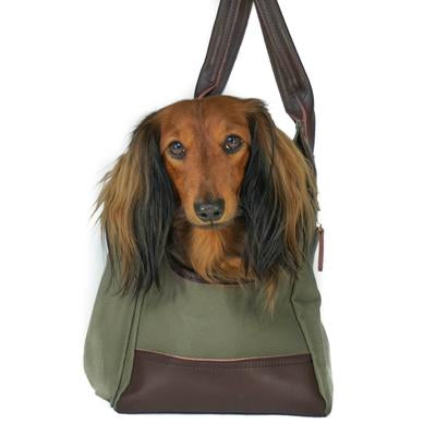 Django sale pet tote