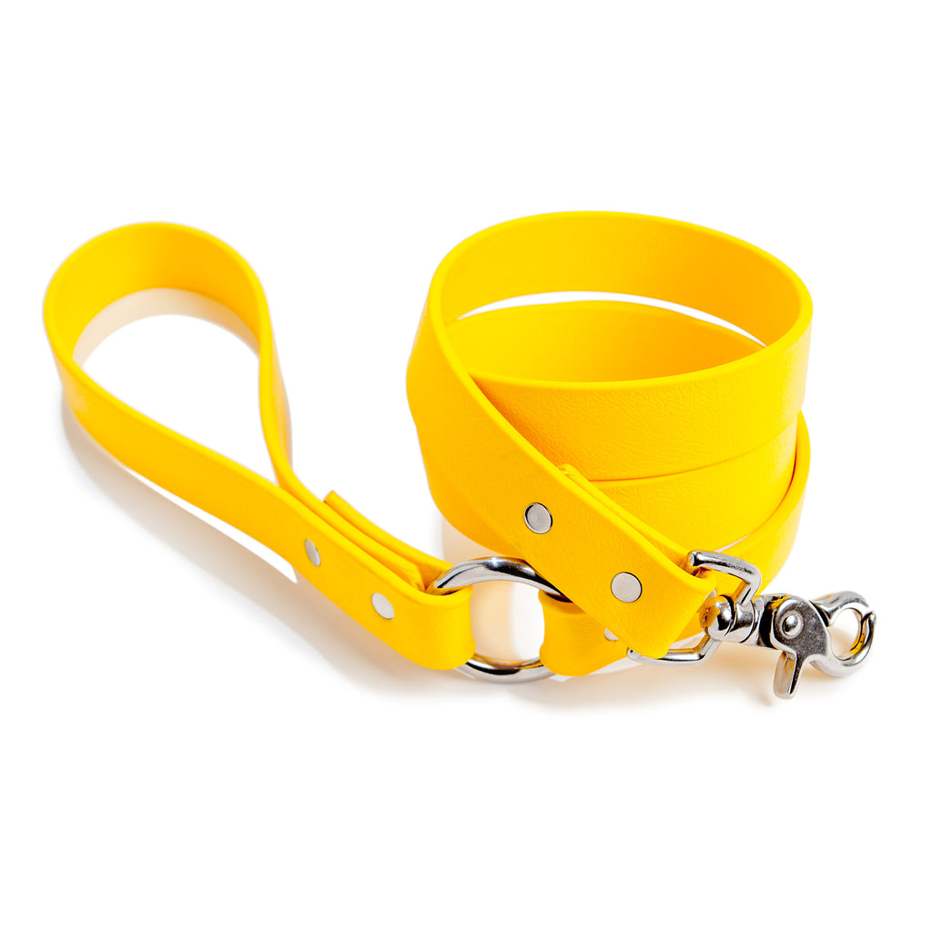 City Leash in Golden Yellow WALK DOG & CO. COLLECTION   