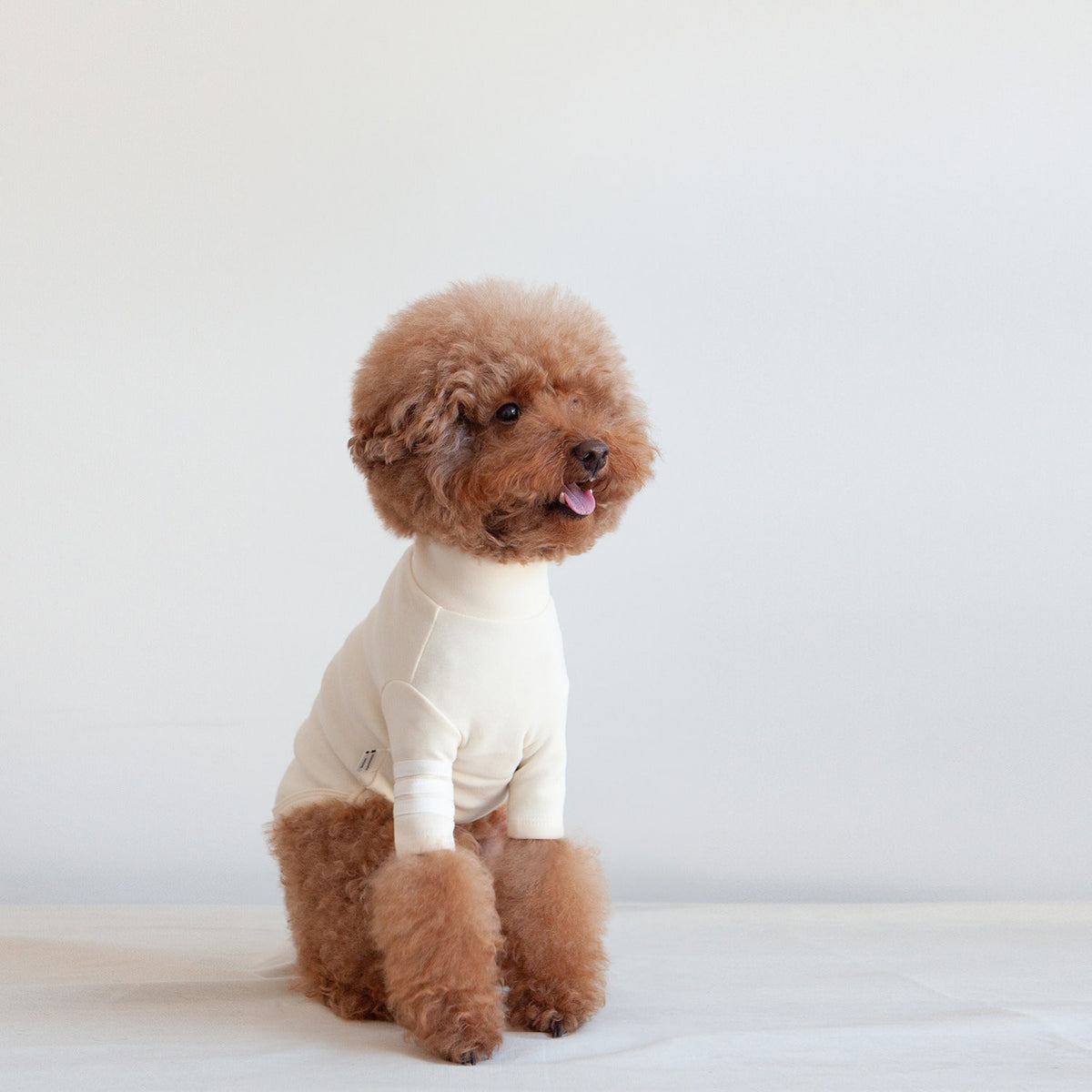 Poodle turtleneck outlet