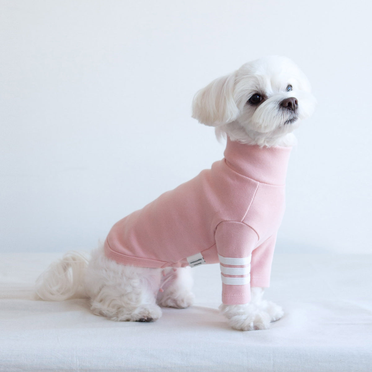 DENTISTS APPOINTMENT Striped Point Turtleneck in Soft Pink DOG