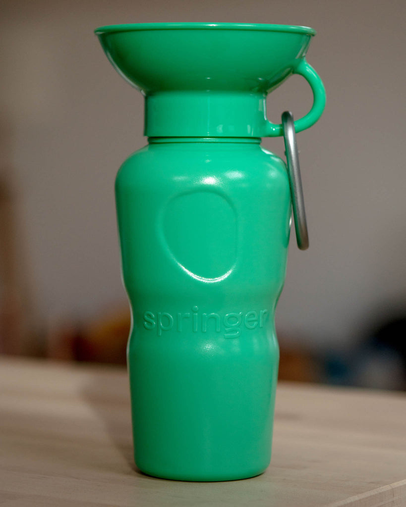Dog Travel Water Bottle (FINAL SALE) Eat SPRINGER Green 15oz 