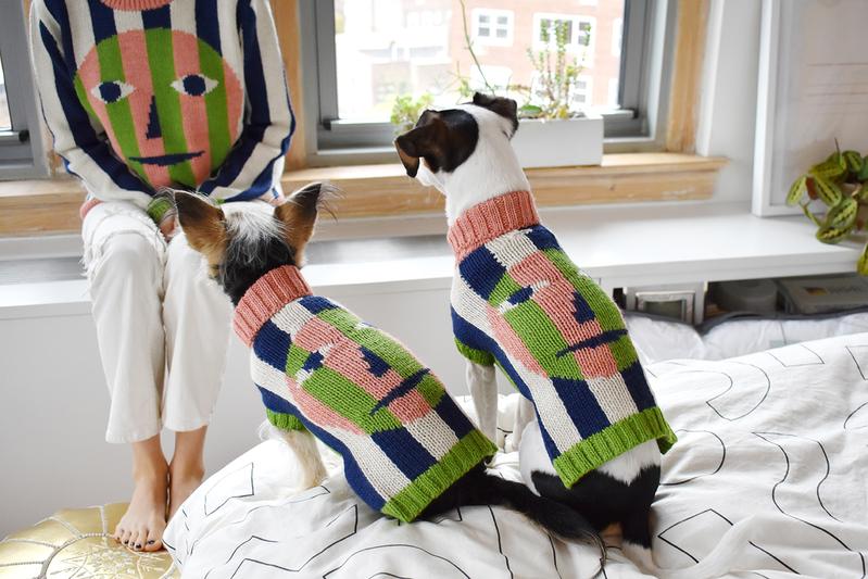 Ugg dog sweater bed bath and beyond 2025