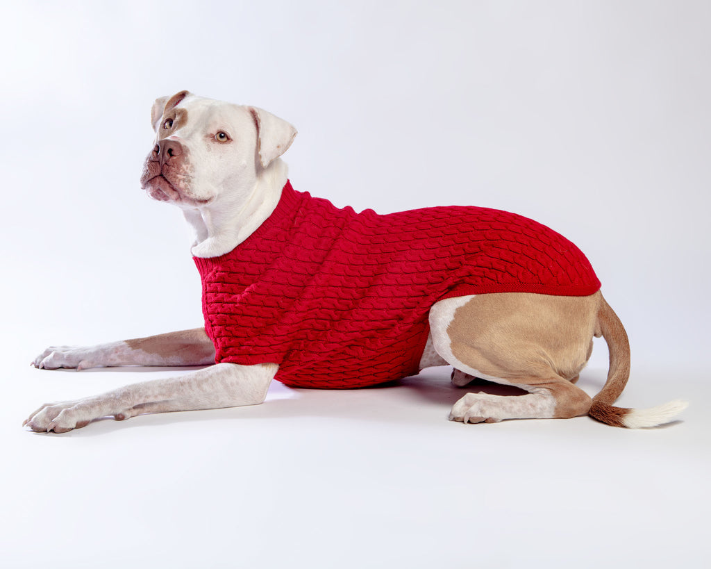 The Uptown Cable Knit Sweater in Big Apple Red Merino Wool (Made in NYC) (FINAL SALE) Wear DOG & CO. COLLECTION   