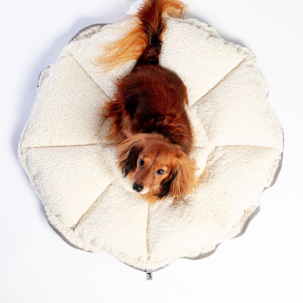 Buttercup Bed (Direct-Ship) HOME BOWSER'S PET PRODUCTS   