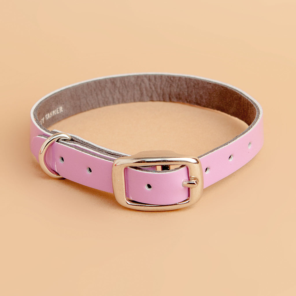 The Cleo Leather Tag Collar in Patent Lilac (Dog & Co. Exclusive) WALK TRACEY TANNER   