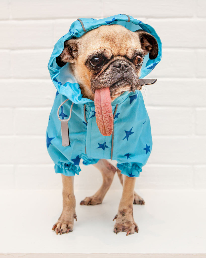 Reflective Dog Rainsuit in Blue Stars << FINAL SALE >> Wear DOGS & CATS & CO.   