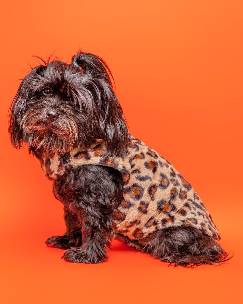 Faux Fur Dog Coat in Leopard Apparel THE WORTHY DOG   