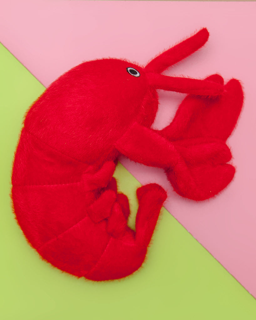 Fuzzy Sea Plush Lobster Dog Toy Play SPUNKY PUP   