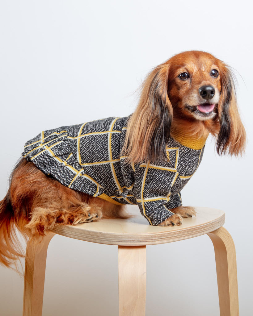 Check Dress for Dogs in Mustard Yellow (FINAL SALE) Wear HUTS & BAY   