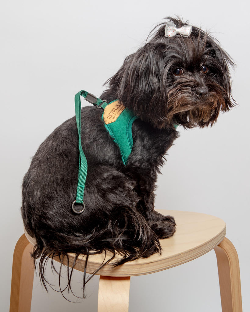 Adjustable Easy Dog Harness in Green WALK CHARLIE'S BACKYARD   